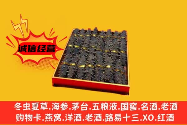 乌兰察布四子王旗回收海参