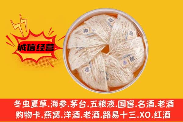 乌兰察布四子王旗回收燕窝